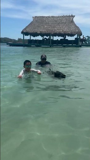 Who is gonna win? Niko or Olivia (the pig 🐷)