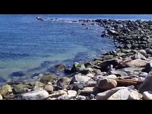 Striper Fishing Narragansett RI Seawall Surf Casting Locations South County RI