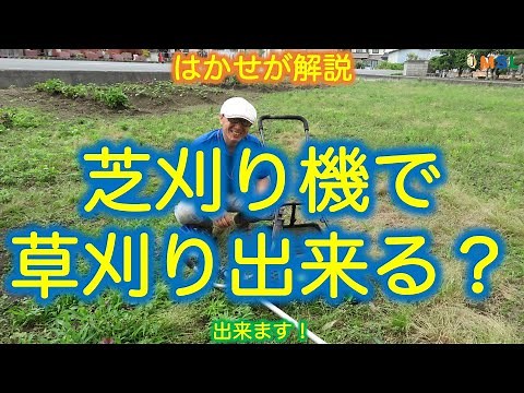 はかせが解説「芝刈り機で草刈り出来るか？」（出来ます！）