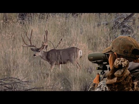Paunsaugunt Mule Deer Bow Hunt | Wildlifers