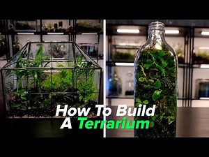 How To Build A Terrarium