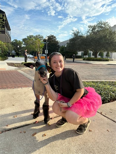 What a fun night Downtown Winter Garden celebrating the West Orange High School - OCPS Homecoming Parade! 💙🧡 The energy was amazing with the marching band, clubs, and so many students and families filling the streets. It’s always such a joy to see our community come together and show their Warrior pride in such a big way. | We Are Winter Garden