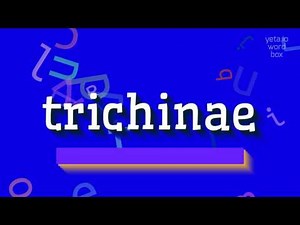 How to say "trichinae"! (High Quality Voices)