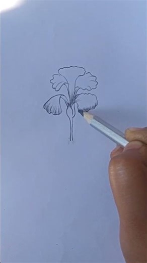 how to draw iris flower #step by step#drawing #shorts#artgallery