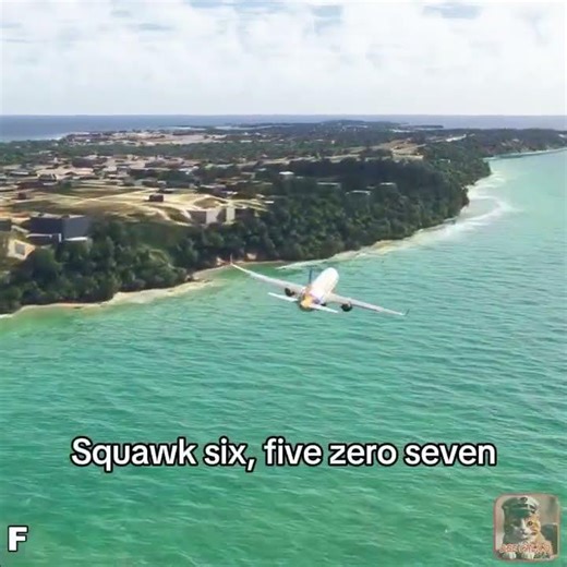 When ATC Gave Him a 200 Foot Window #pilotlife #shorts