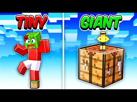 GIANT vs TINY One Block In Minecraft!