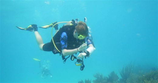 Florida researchers could soon live and work underwater thanks to a public-private partnership