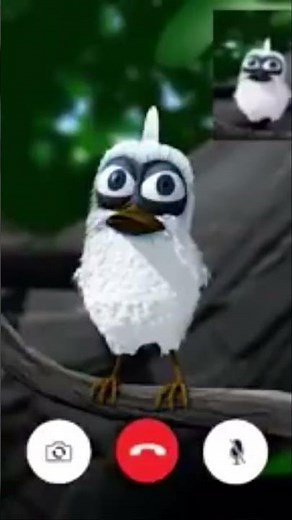 Bird explodes on FaceTime meme haha guys so funny #shorts