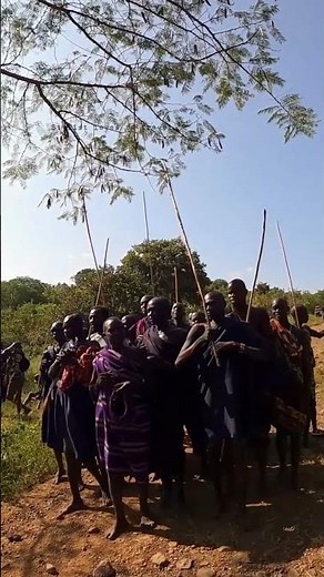 Donga Stickfight Suri Tribe #ethiopia #omovalley #omovalleytribes #surma #tradition #donga