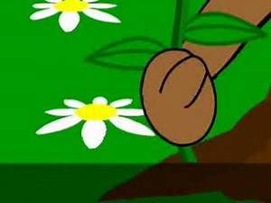 Paved Paridise (Big Yellow Taxi)