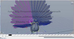 as_EasyBird : Auto Bird Rigging: Presentation On Tail Controls