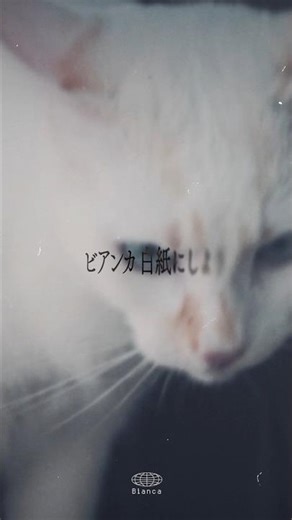 2nd Single 『ビアンカ』12/3(水) 0:00 リリース ▼Pre add/Pre saveリンク▼https://orcd.co/rei_bianca#礼衣 #ビアンカ