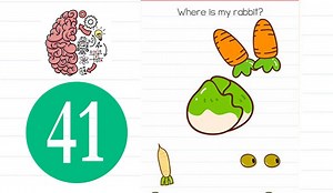 Brain Test Level 41 Where is my rabbit