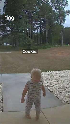 It's National Cookie Day! What's your favorite cookie? 🍪