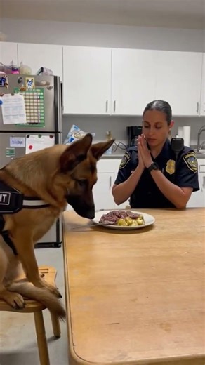 #automobile #childrensmusic #lifeisbutadream #viral #crash #aviation #ekmotahathighumechala