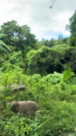 45K views · 1K reactions | Sinabihan akong mahina utak ko #tren #hahahahahahahahahahahaha #memes #lifestyle #model #comedy #homesweethome #shopsmall #coffee #bemakstvfammoment #beach #hehehehe #facebookreelsviral #amazing #amazingfacts #bemakstvfam #trending #wow #trendingreelsvideo #anua #virelpost #funnyreelsvideo #funn #handmade #nakaka #viralphotochallenge #game #reelschallengereelschallenge #kimkardashian #funnyvideos | Bemaks tv fan | Facebook