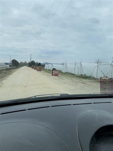 #κολοκυθακια #agricultura