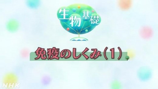免疫のしくみ （１） | 生物基礎 | 高校講座