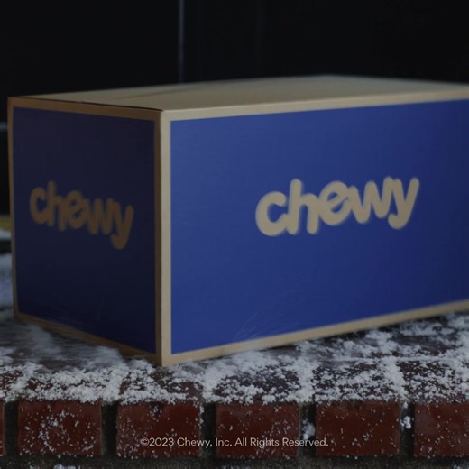 1.9K reactions · 95 shares | Are you shopping & saving up to 40% at Chewy right now? There’s only one right answer. | Chewy | Facebook