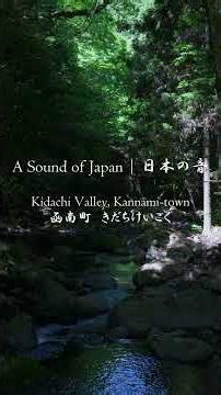 【A Sound of Japan】Kidachi Valley, Kannami town｜【日本の音】函南町 きだちけいこく shorts