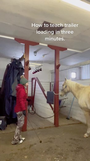 You can “load” a horse into a tie stall, regular stall, through a man door, or onto a bridge or tarp. Once these cues, trust and respect are installed, the horse will go into, on, or over anything for you. Trailer loading has nothing to do with the trailer 🦄🙃 #horsetraining #coltstarting #palominohorse #geldings #horsebarn #horseadvice #horseowner #horsehack