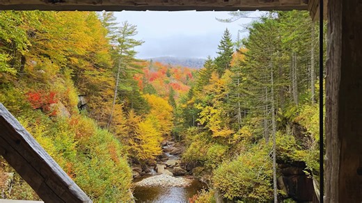 Flume Gorge Trail: New Hampshire’s Most Surprising Fall Hike