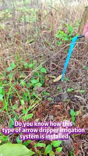 How to Install Arrow Dripper Irrigation Systems