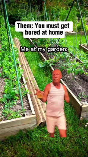 Garden Planning on Instagram: "Comment "BLOOM" to get our plant care app that identifies any plant, provides detailed care instructions for EVERY species, diagnoses plant problems with a simple photo, and allows you to set care reminders so you never forget to water again!"