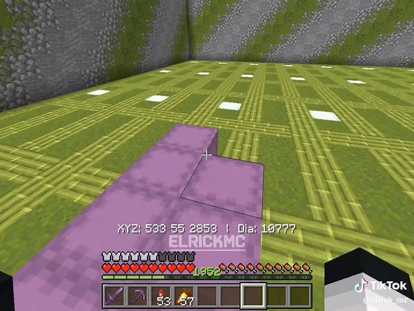 Sugar Cane Farm Setup in Minecraft Bedrock Edition