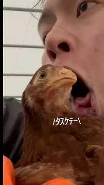 進撃のオレ⤴︎⤵︎ #農家 #farming #農業