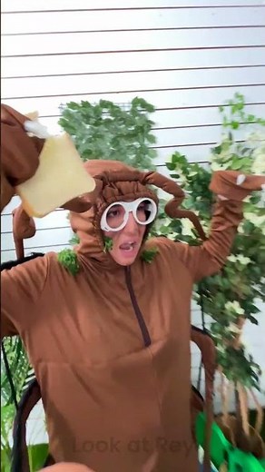 Unpacking Cockroaches 🤯 The Ultimate (and Creepy) Fun Challenge!