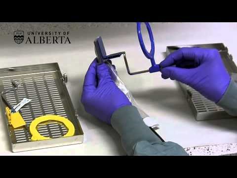 4. Periapical Paralleling Technique Anterior Teeth