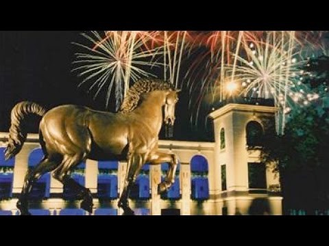 DSC History: Leonardo's Horse