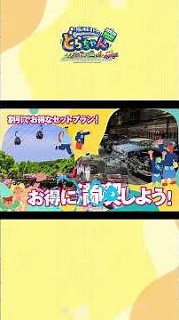 阪神高速おでかけパスでお得にドライブしちゃおう🚗
