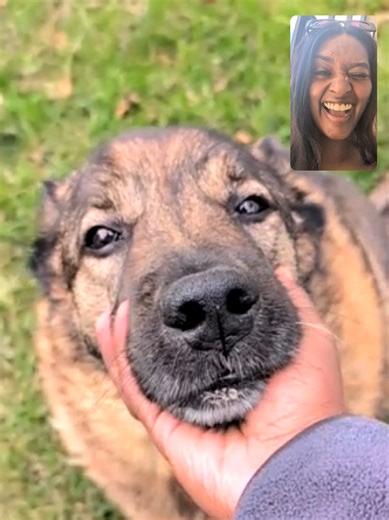 Best Friends Reunited After 3 Weeks! 🥹❤️