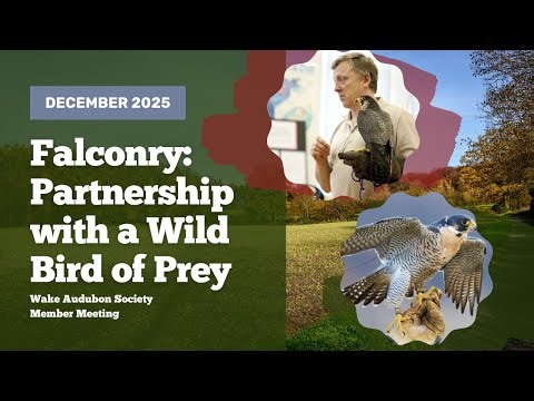 December 2025 Member Meeting