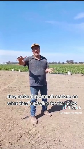 Empowering Australian Farmers to Thrive in Agriculture