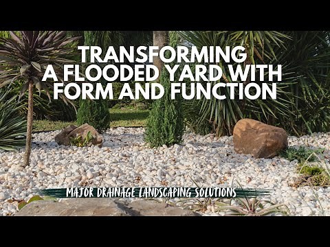 Transforming a Flooded Yard with Form and Function | EarthWorks Landscape