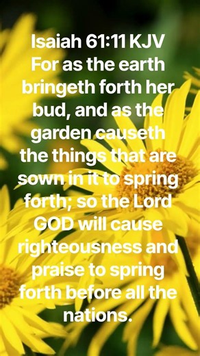 Praise the Lord! #scripturepraises #scripturesong #worshipmusic #bibleshorts