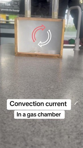 Convection current using a smoke chamber #science #experiements #teacher #physics #education #school