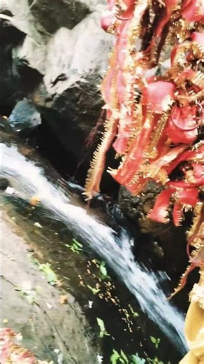 #Har Har Mahadev 💗#viral #statusvideo #odisha #balasore #tourism