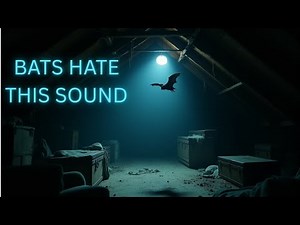 Bat Repellent Sound – Ultrasonic Test (25–35 kHz)