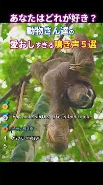 動物さん達の珍しすぎる鳴き声5選 #動物 #2ch動物スレ #shorts