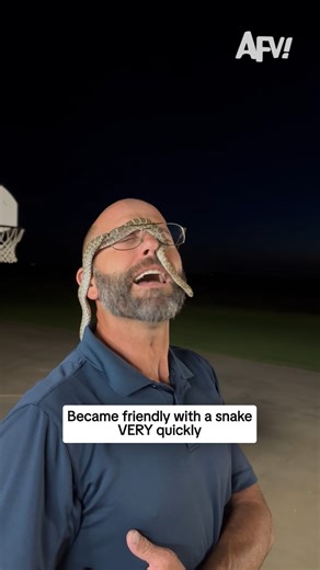 America's Funniest Home Videos on Instagram: "America's Most Videos??? 🐍 #afv #funny"