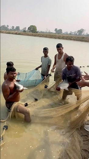 how to start fish farming in india #fishing #fish #fishfarm #aquaculture #vlog #aquaticpets