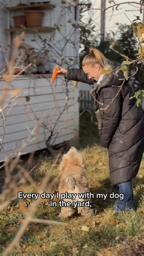 Maria on Instagram: "Every day I play with my dog in the yard… and every day the mud follows us inside 🐾 I was so tired of constantly cleaning the floors until I found @muddymat . It actually traps dirt, mud, and water before it reaches the floor. No slipping, no mess, and it’s super soft for paws. Even spills aren’t a problem—and when it gets dirty, I just wash it. Honestly, Muddy Mat®️ has made my life so much easier. A must-have if you have a dog or deal with muddy shoes 👌🐶 Shop Now 👇 htt