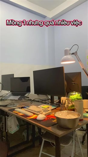 Ngày đầu năm quá nhiều việc, ngồi làm cho đến khi băng đá tan hết! #2026 #banhthanhtuu #laptrinh #code #xuhuong