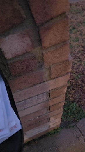 I just went to the mailbox after the rain and picked up 11 cheques. And every time I do this, it reminds me of something. These don’t just show up. They are the result of consistent work. Of building something that keeps working even on regular days. This is not about chasing fast money. It is about creating something steady. There is a different kind of peace that comes from knowing that when your bi weekly pay hits, there is something else that comes alongside it. Something that supports it. S