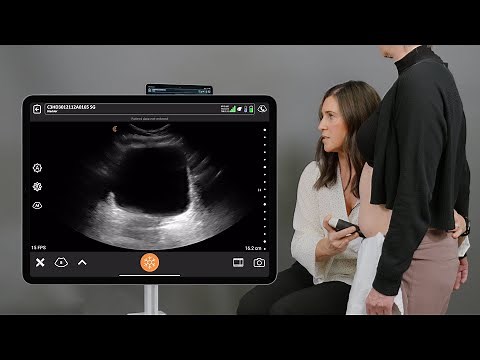 Functional Pelvic Floor Assessment - Standing