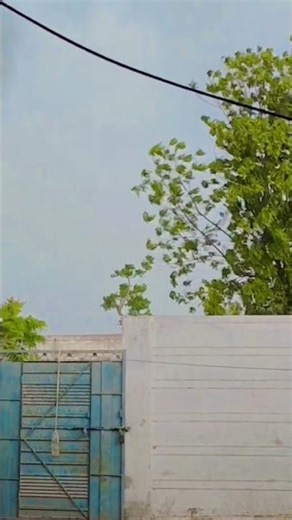 Tere Bina Na Guzara e